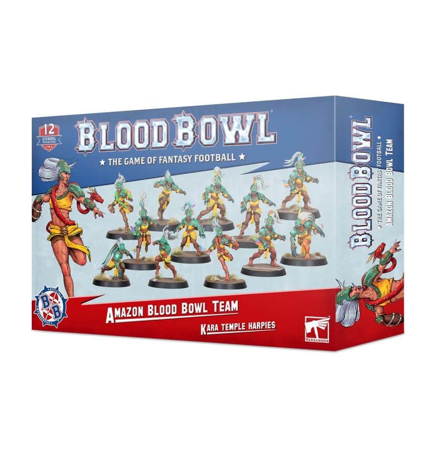 Amazon Blood Bowl Team Kara Temple Harpies Amazon Blood Bowl Team: Kara Temple Harpies - Image 1